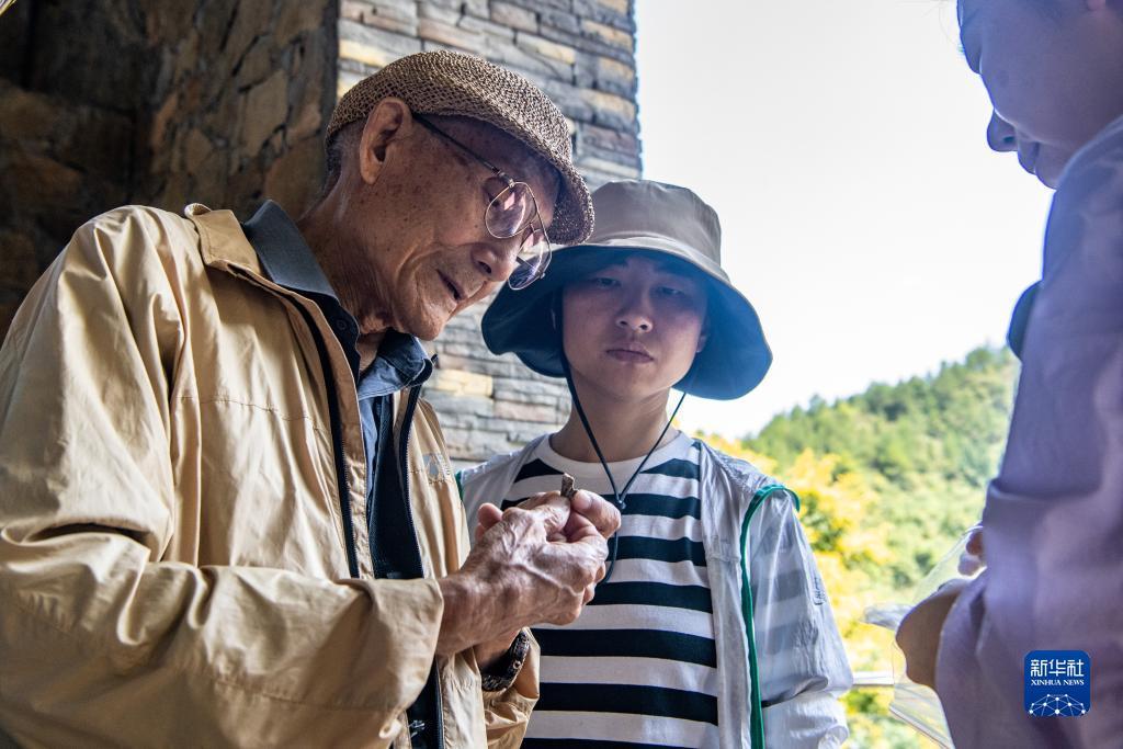 免费彩金官网